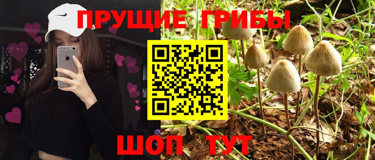 Галлюциногенные грибы GOLDEN TEACHER Чехов