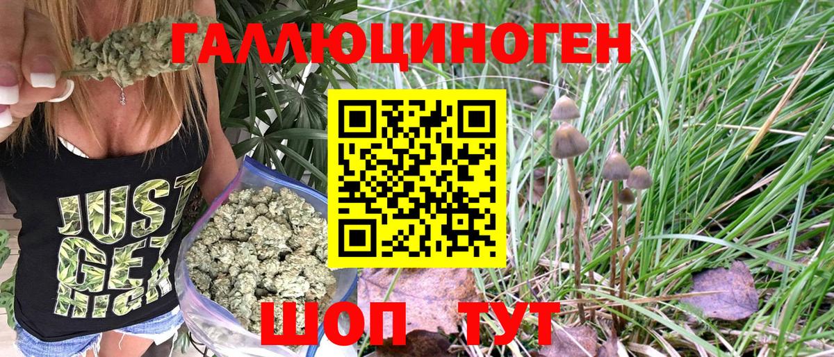 Псилоцибиновые грибы Magic Shrooms  Галлюциногенные грибы Psilocybine cubensis  Чехов  Вход с VPN 